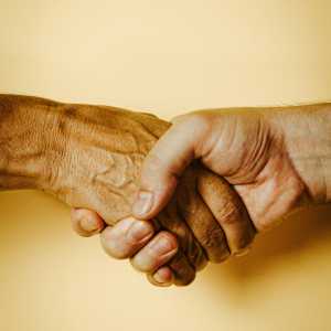 Image Hands